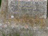 image of grave number 369